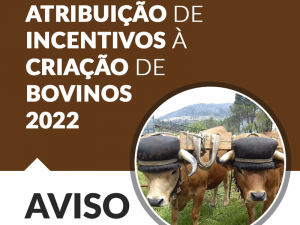 Read more about the article Incentivo à criação de bovinos
