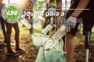 Read more about the article Voluntariado Jovem para a Natureza e Florestas